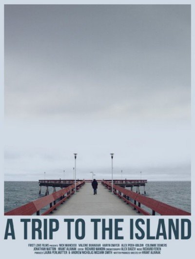 A Trip To The Island 2013 DVDRip x264-RedBlade
