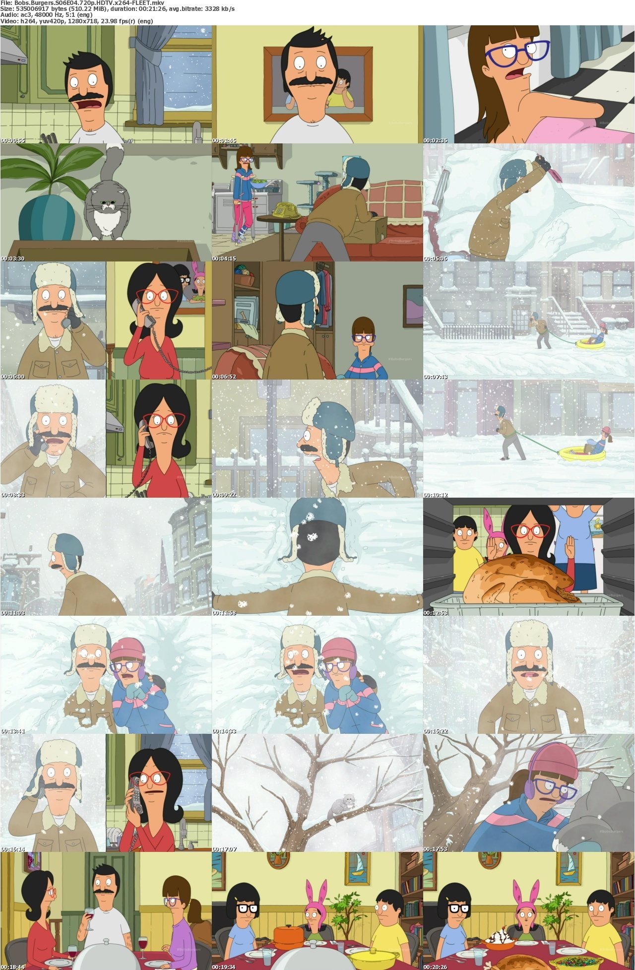 Bobs Burgers S06E04 720p HDTV x264-FLEET