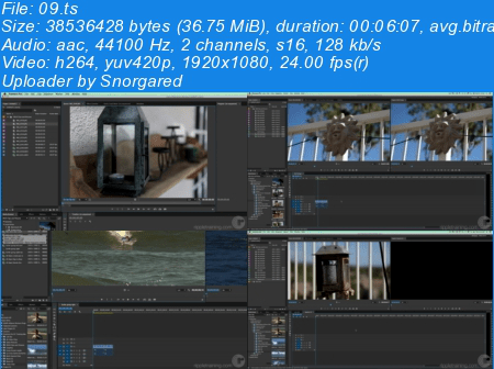 Ripple Training - Editing in Premiere Pro CC 2015