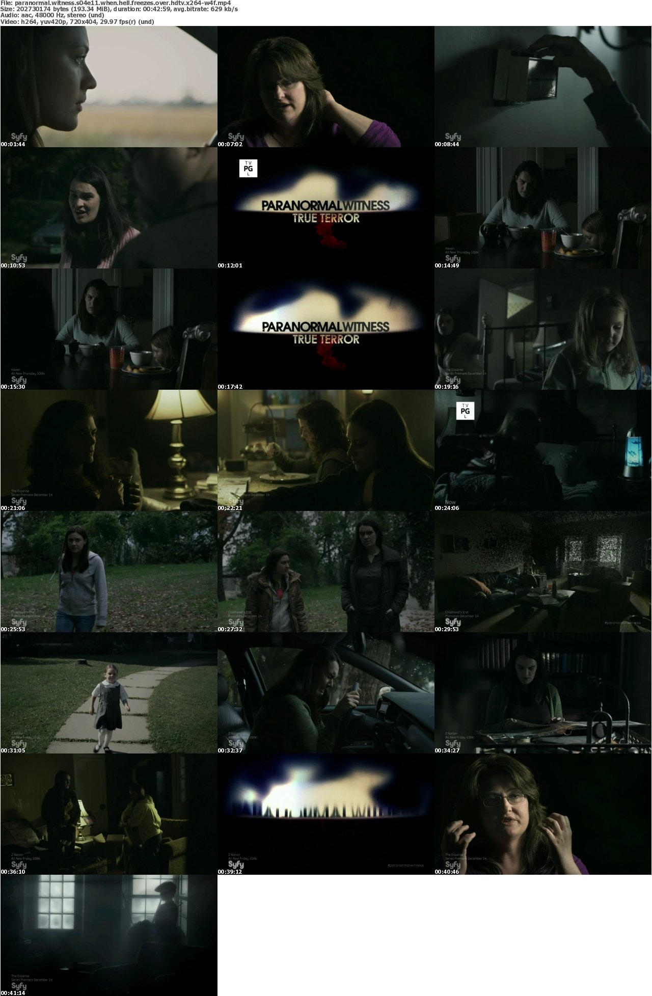 Paranormal Witness S04E11 When Hell Freezes Over HDTV x264-W4F