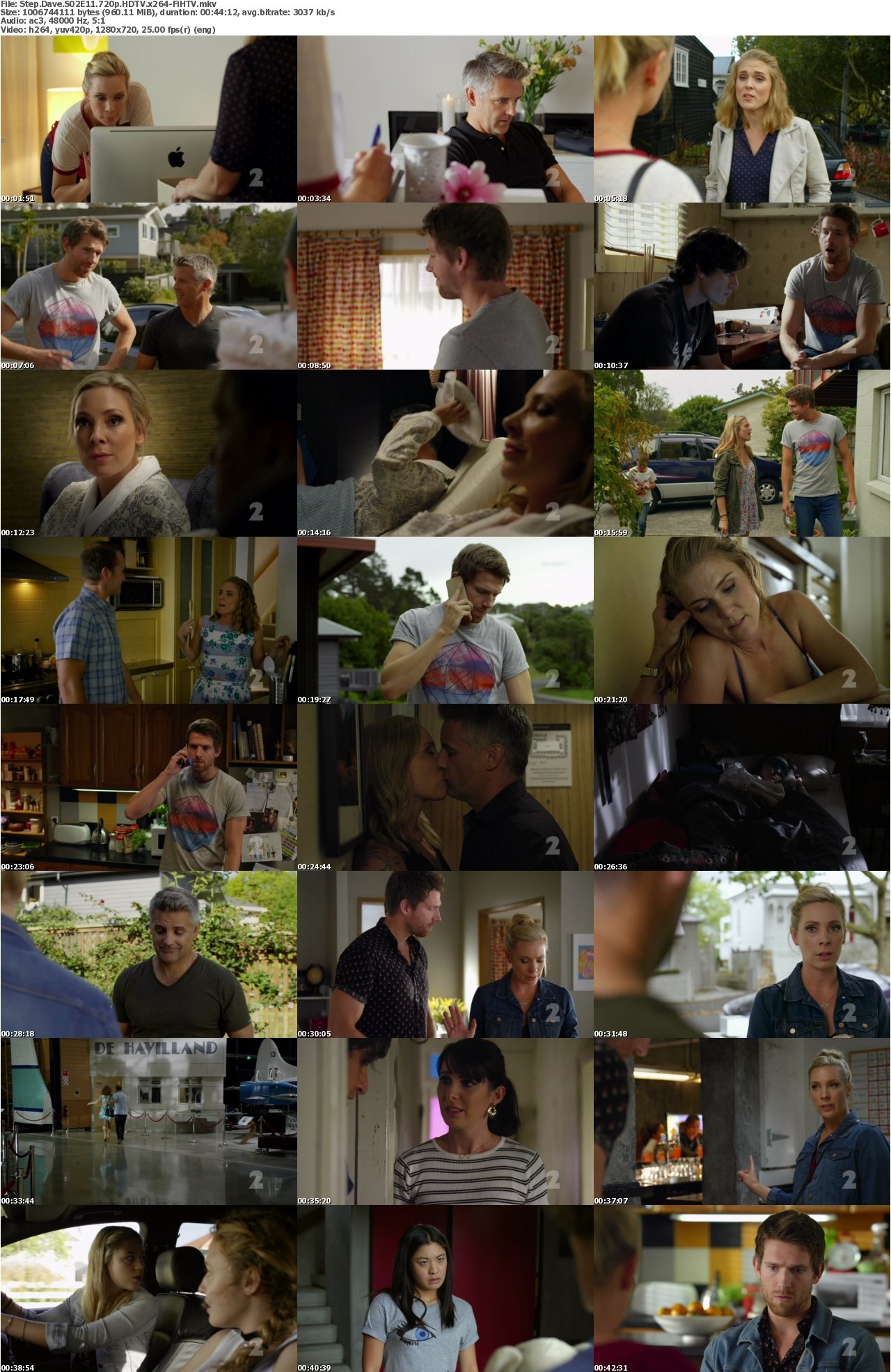 Step Dave S02E11 720p HDTV x264-FiHTV