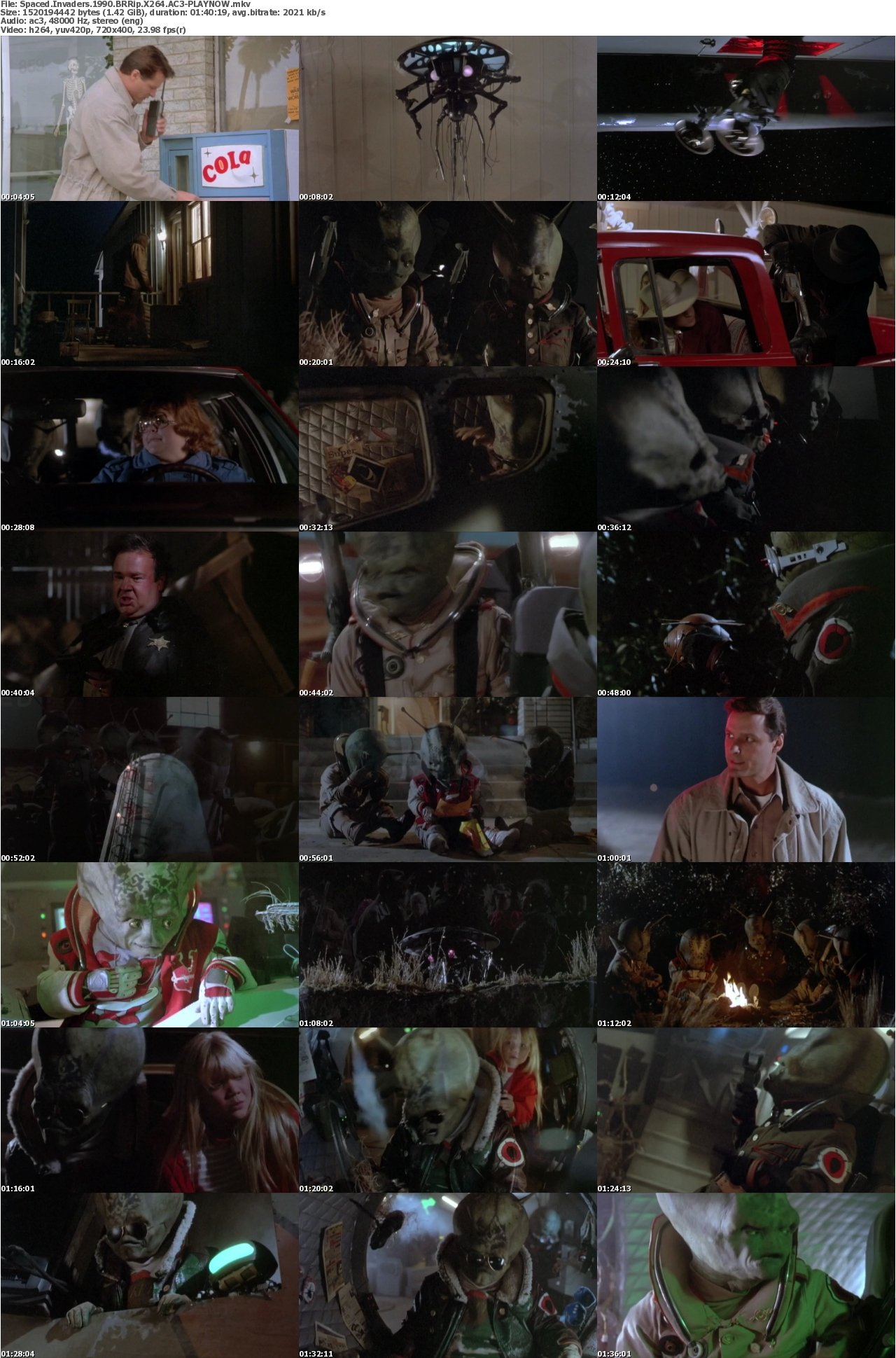 Spaced Invaders 1990 BRRip X264 AC3-PLAYNOW