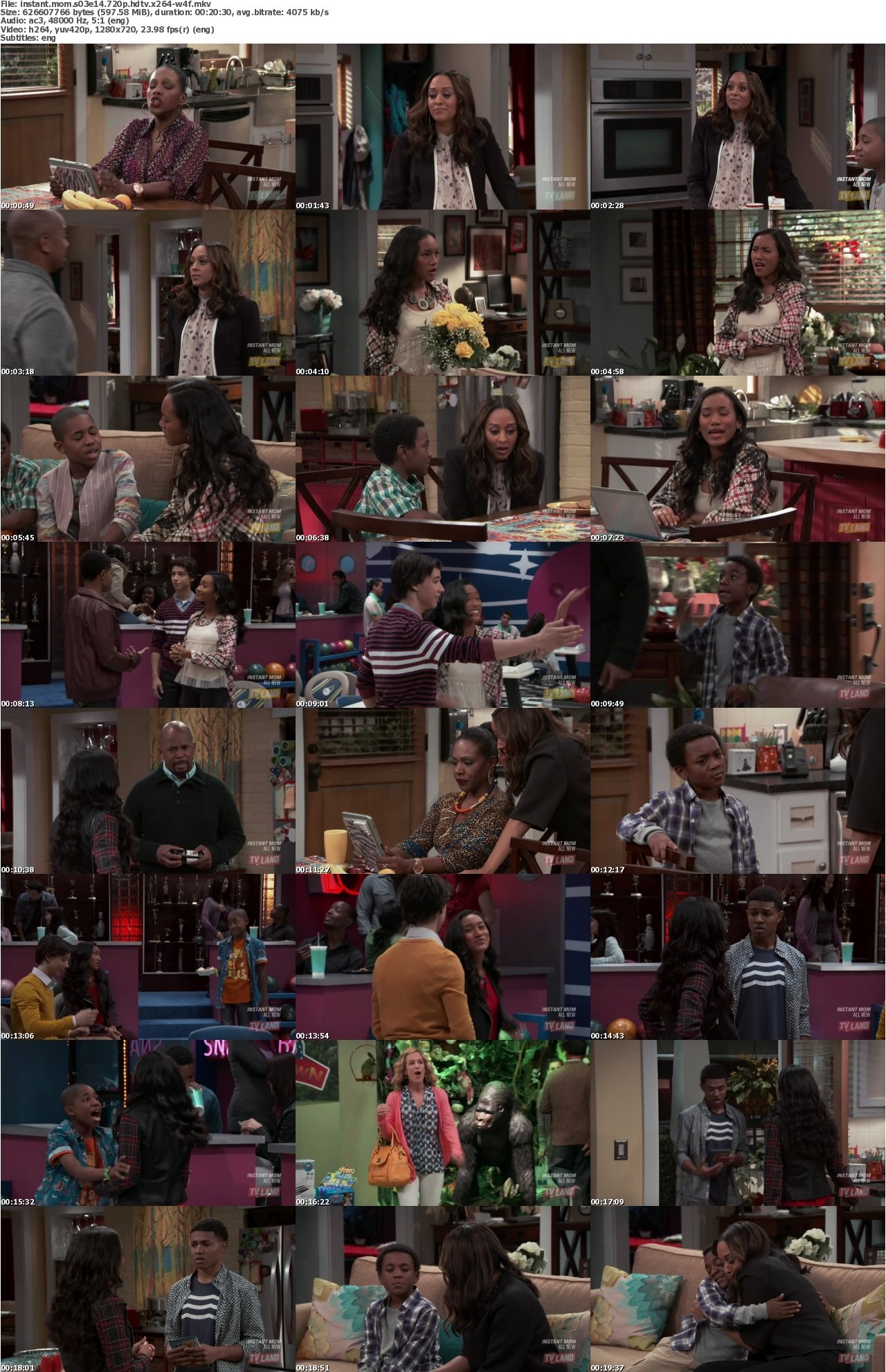 Instant Mom S03E14 720p HDTV x264-W4F