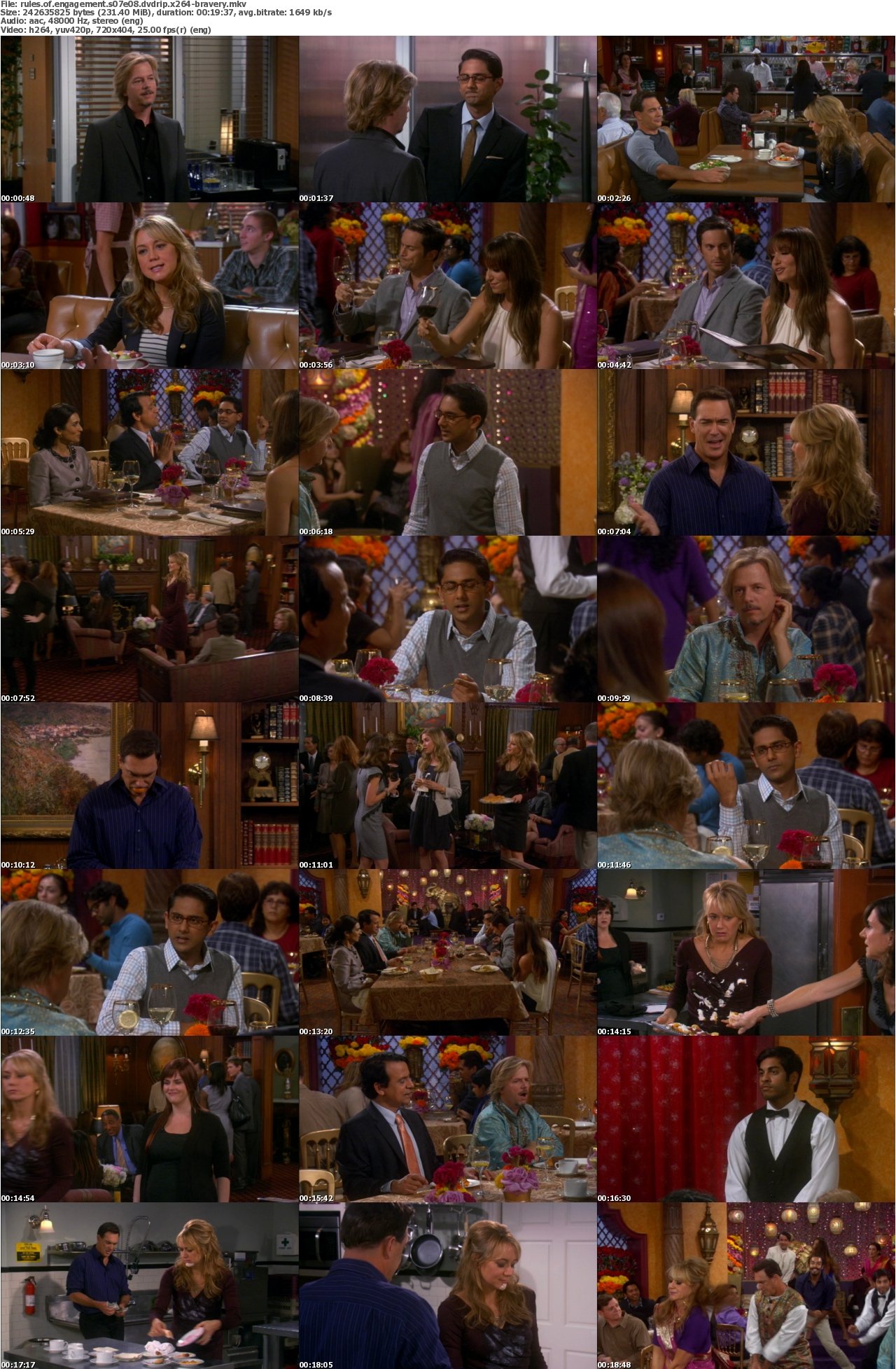 Rules of Engagement S07E08 DVDRip x264-BRAVERY
