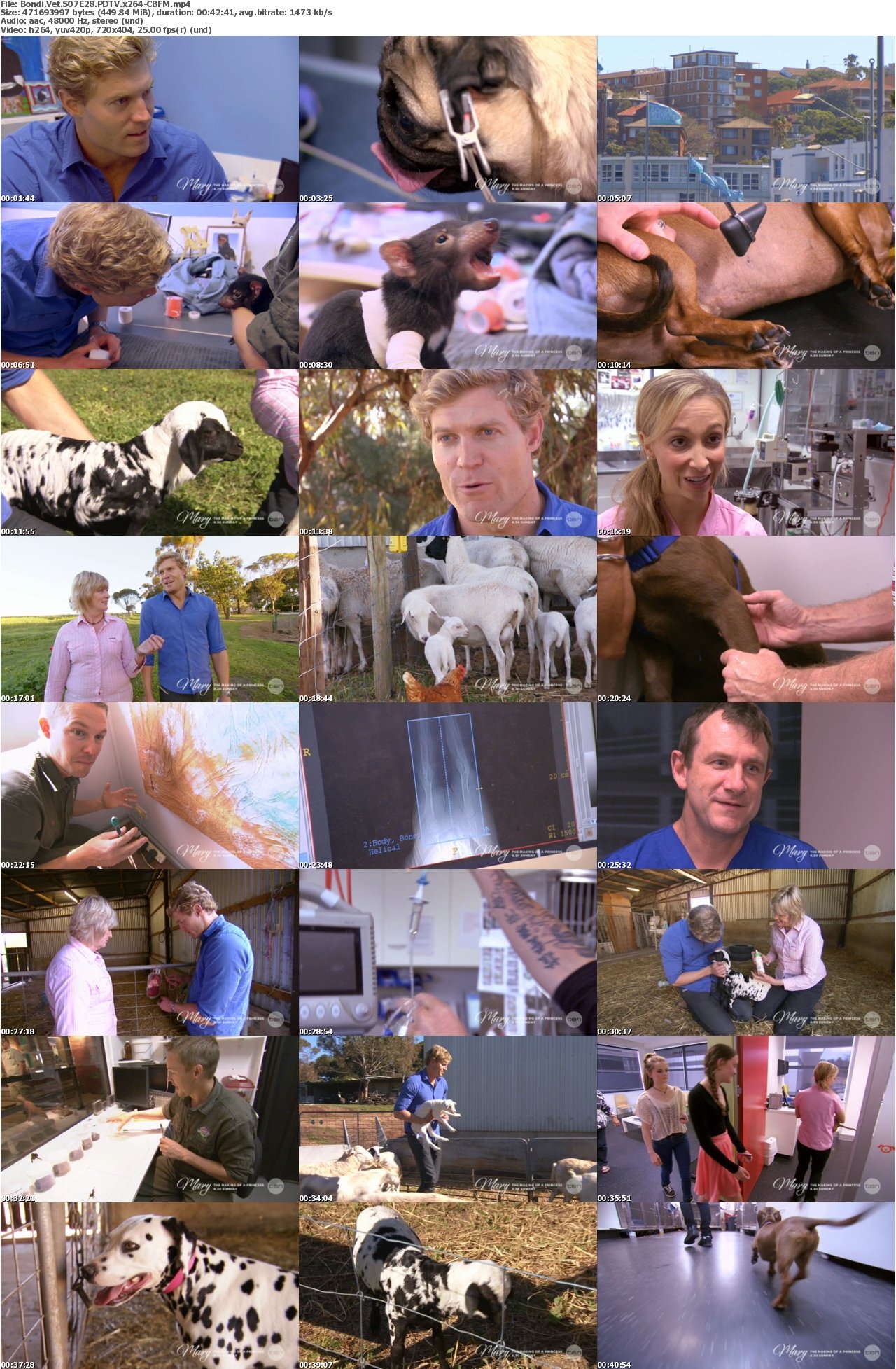 Bondi Vet S07E28 PDTV x264-CBFM