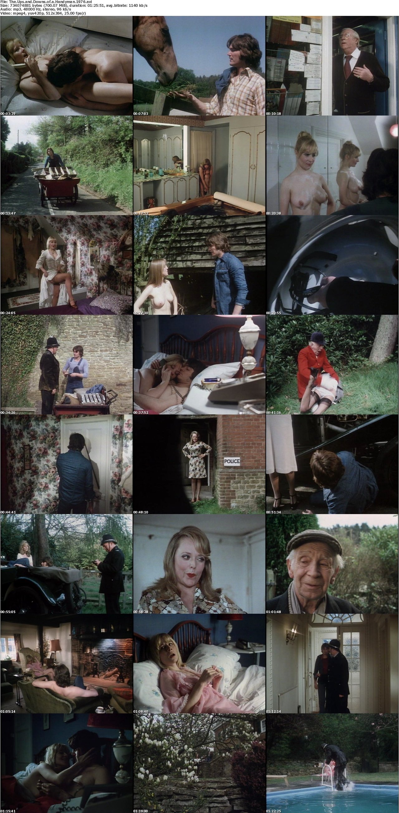 The Ups and Downs of a Handyman (1976)