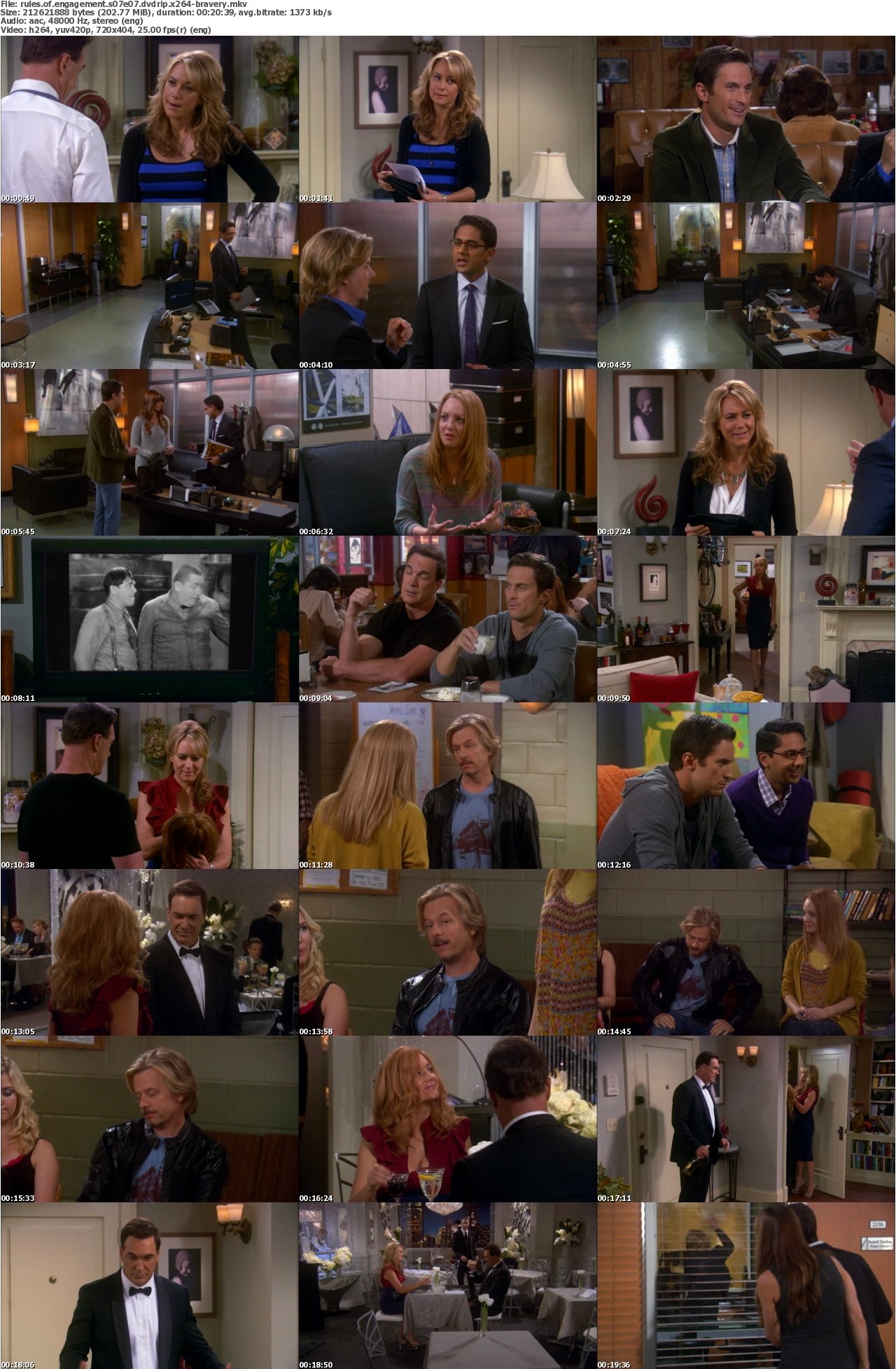 Rules of Engagement S07E07 DVDRip x264-BRAVERY