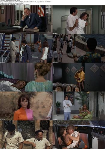 The Ambushers (1967)