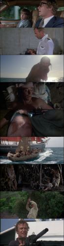 The Island 1980 1080p BluRay x264 DTS FGT