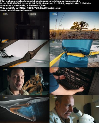 National Geographic - World's Biggest Beasts (2015) 720p HDTV x264-SQUEAK