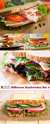 Photos+-+Different+Sandwiches+Set+2