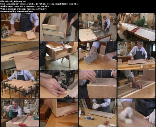 Biscuit Joinery with Frank Klausz