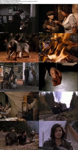 The Journey of Natty Gann (1985)