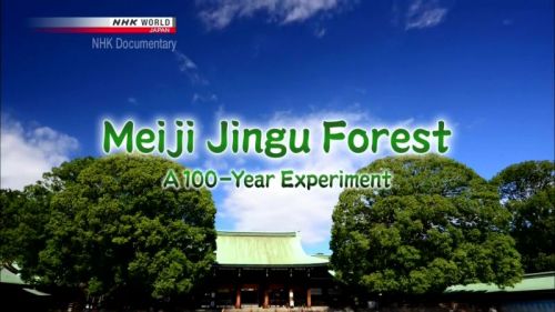 NHK - Meiji Jingu Forest: A 100-Year Experiment (2015) 720p HDTV x264-MVGroup