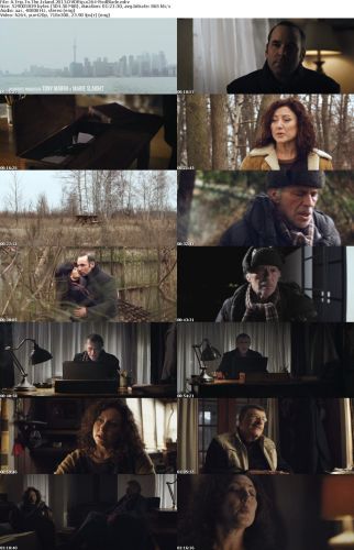 A Trip To The Island 2013 DVDRip x264-RedBlade