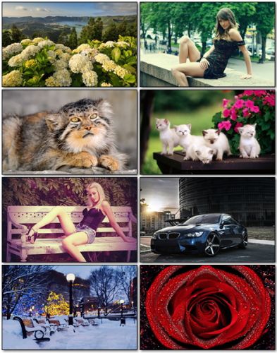 Wallpapers Collection #195