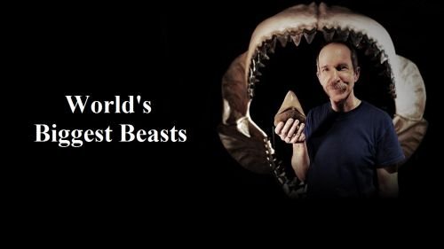 National Geographic - World's Biggest Beasts (2015) 720p HDTV x264-SQUEAK