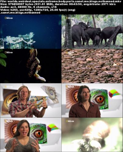 National Geographic - World's Weirdest: Specials Extreme Body Parts (2015) 720p HDTV x264-SQUEAK