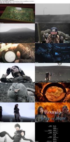 Assault Girls 2009 1080p BluRay x264-aAF