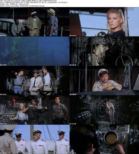Assault on a Queen 1966 1080p BluRay x264-SADPANDA