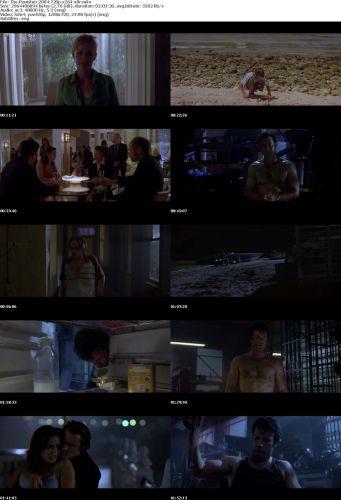 The Punisher 2004 720p x264 x0r