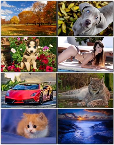 Wallpapers Collection #191