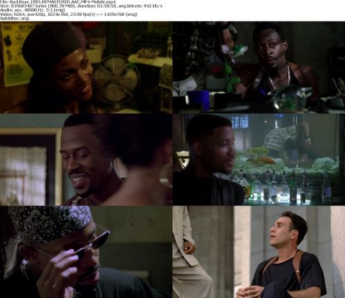 Bad Boys 1995 REMASTERED BRRip x264-Mobile