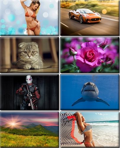 Computer Desktop Wallpapers Collection. Part (1370)