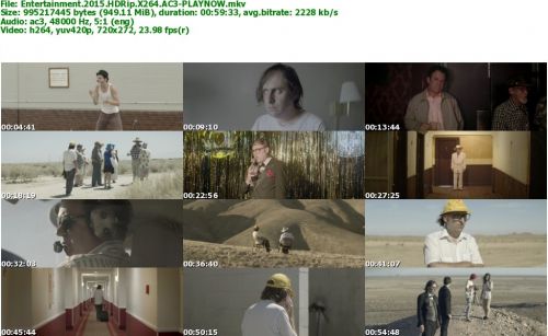 Entertainment 2015 HDRip X264 AC3-PLAYNOW