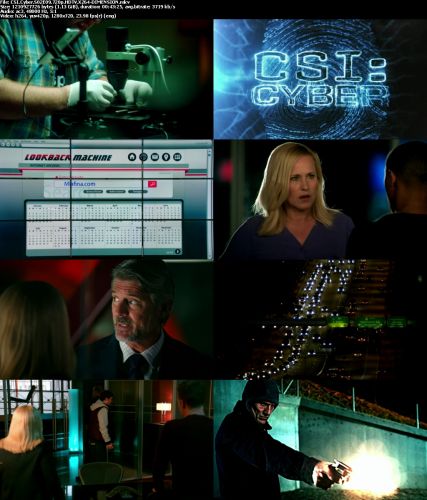 CSI Cyber S02E09 720p HDTV X264-DIMENSION