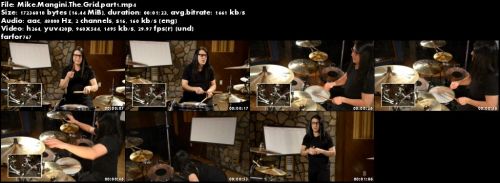 Mike Mangini - The Grid