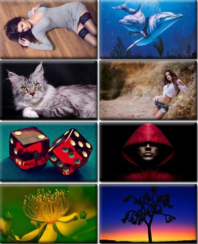 Computer Desktop Wallpapers Collection. Part (1368)