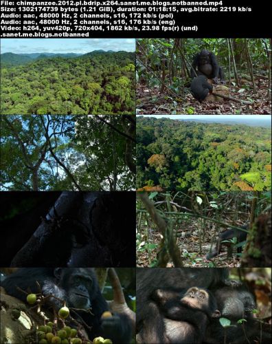 Chimpanzee 2012 PL BDRip x264-FLAME