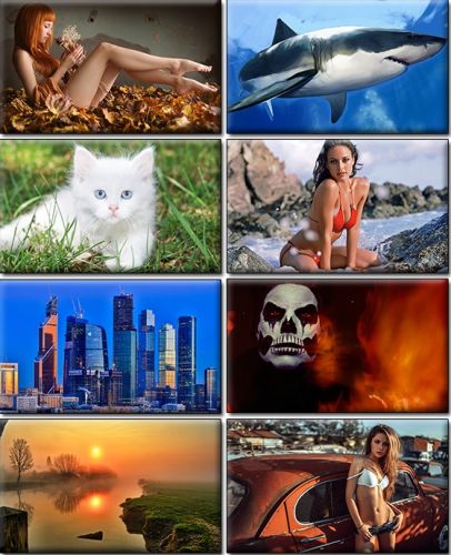 LIFEstyle News MiXture Images. Wallpapers Part (835)