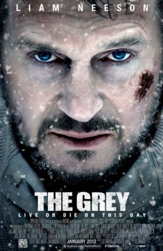 The Grey 2011 BDRip x264 AC3 RoSubbed-playSD