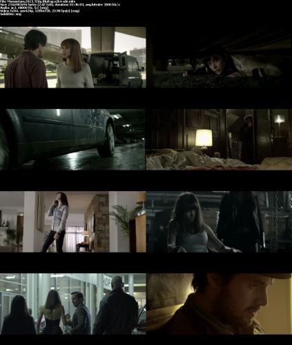 Momentum 2015 720p BluRay x264-x0r