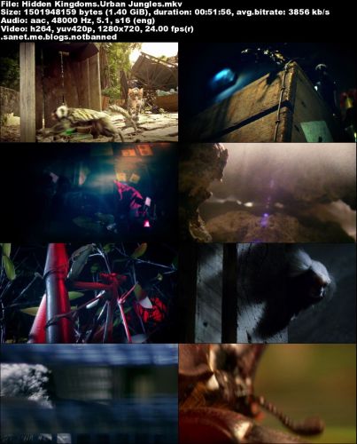 Hidden Kingdoms (2014) 720p BRRips x264 AAC-DiVERSiTY