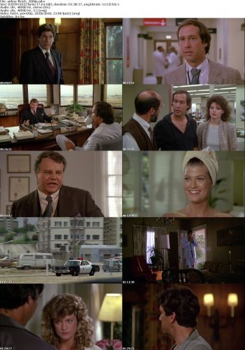 Fletch 1985 MULTi 1080p BluRay x264-AiRLiNE