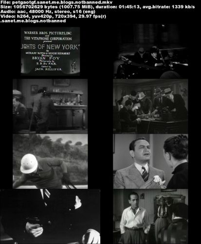 Public Enemies: The Golden Age of the Gangster Film (2008) BDRiP x264-CREEPSHOW