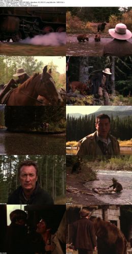 Grizzly Falls (1999)