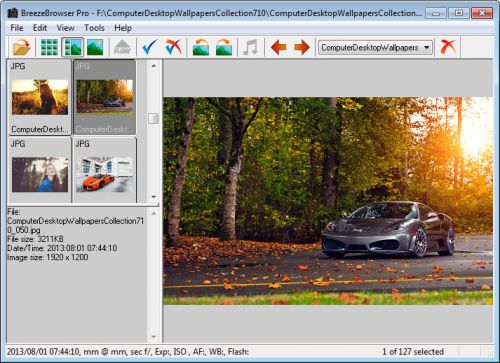 BreezeBrowser Pro 1.9.8.7 DC 26.11.2015
