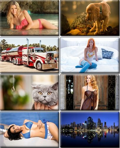 LIFEstyle News MiXture Images. Wallpapers Part (837)