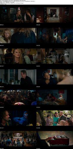 Ricki and the Flash 2015 720p BluRay x264 x0r