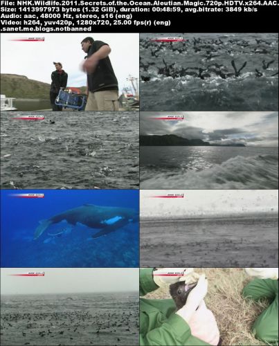 NHK Wildlife - Secrets of the Ocean: Aleutian Magic (2011) 720p HDTV x264-MVGroup