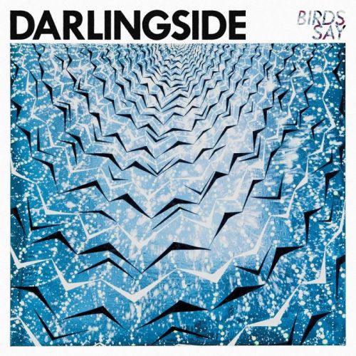 Darlingside - Birds Say (2015)