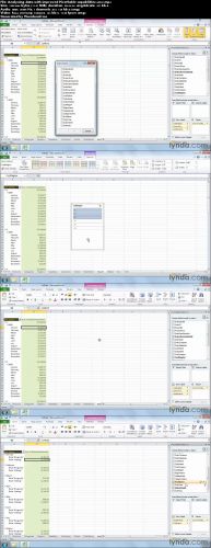 Lynda - Excel 2010: Real-World Projects