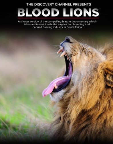 Discovery Channel - Blood Lions (2015) 720p HDTV x264-CBFM