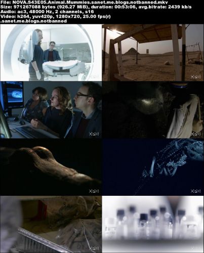 PBS - NOVA: Animal Mummies (2015) 720p HDTV x264-DHD