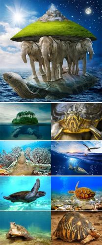 Stock+Image+Underwater+world