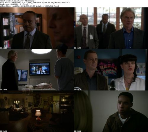 NCIS S13E10 HDTV x264-Mobile